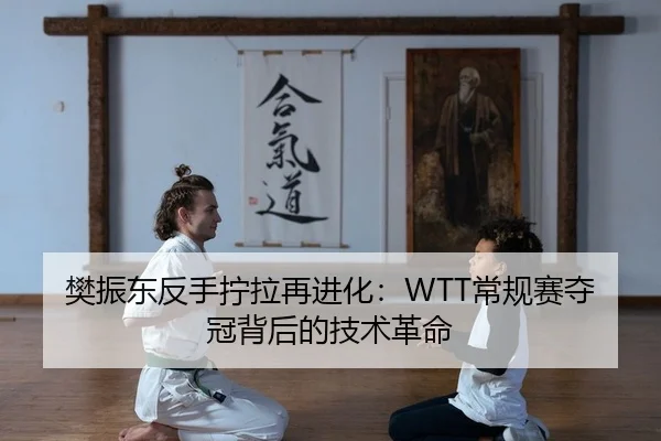 樊振东反手拧拉再进化：WTT常规赛夺冠背后的技术革命